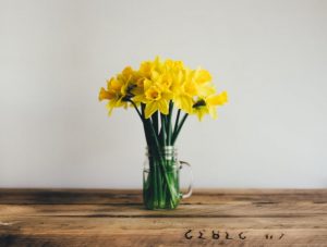 Vase of Daffodils